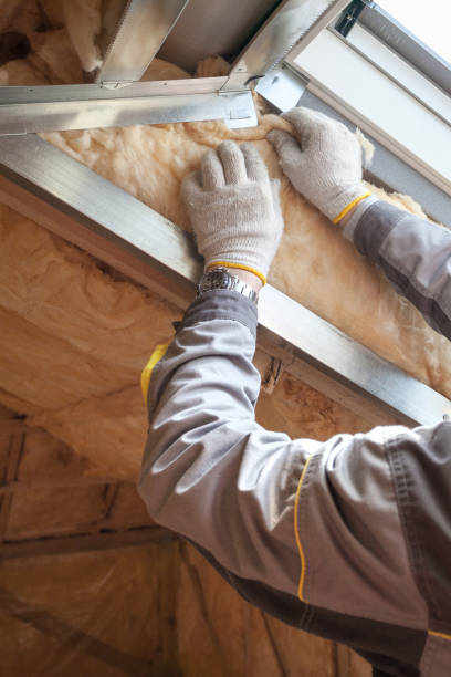 Best Insulation Replacement Services  in Lake Mohegan, NY