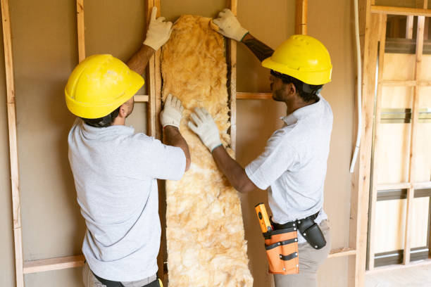 Best Best Insulation Companies  in Lake Mohegan, NY