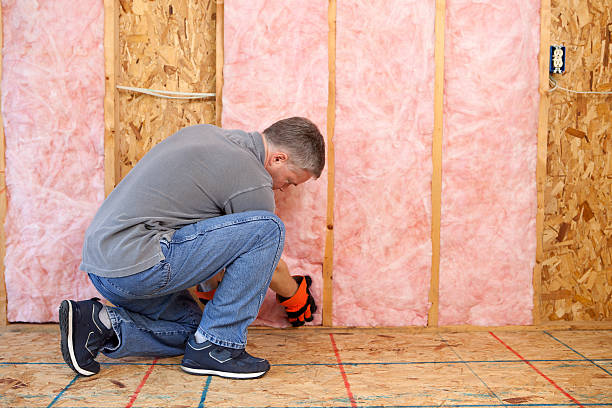 Best Insulation Contractors for Homes  in Lake Mohegan, NY